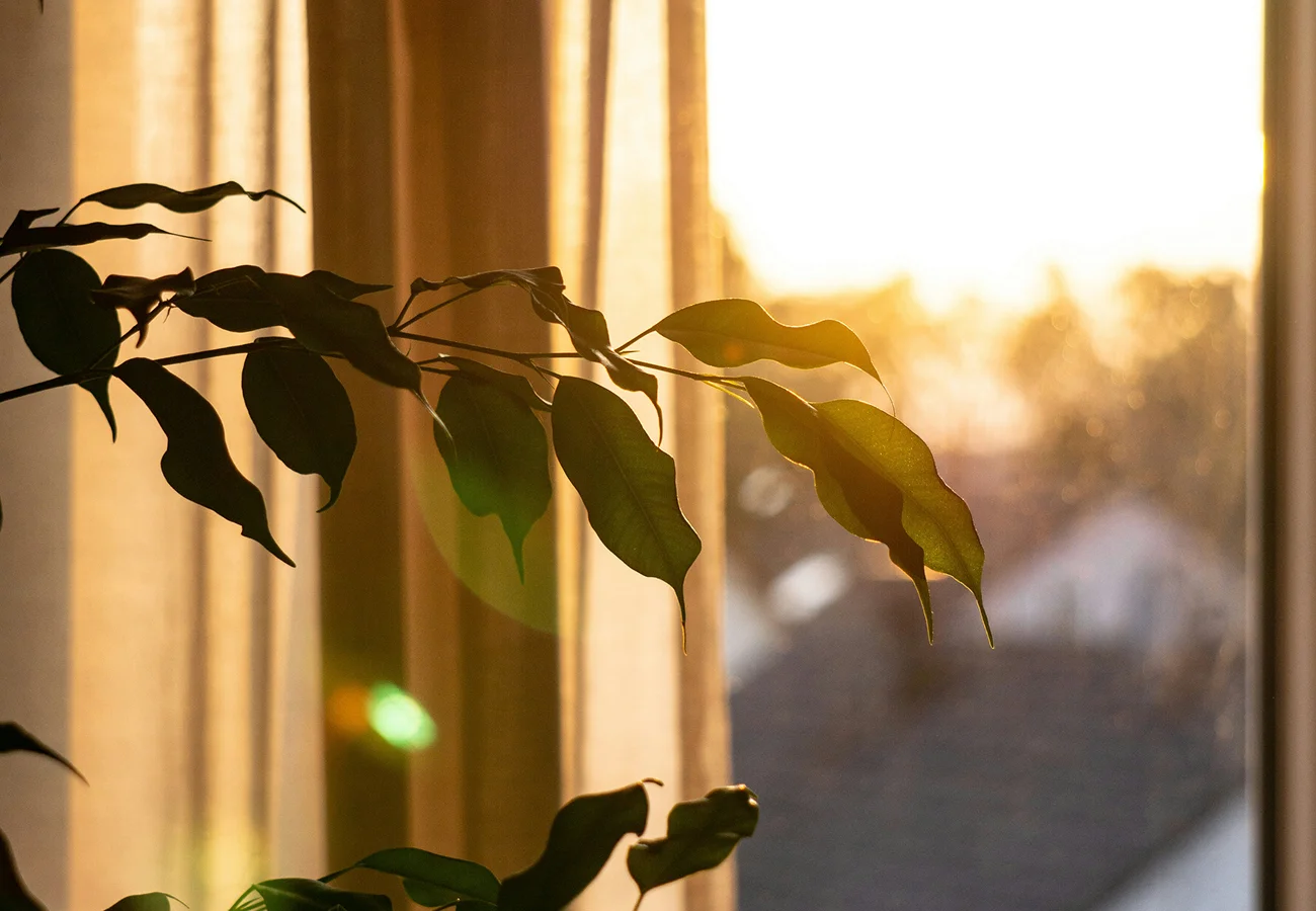 Que es la luz indirecta y como encontrarla en casa